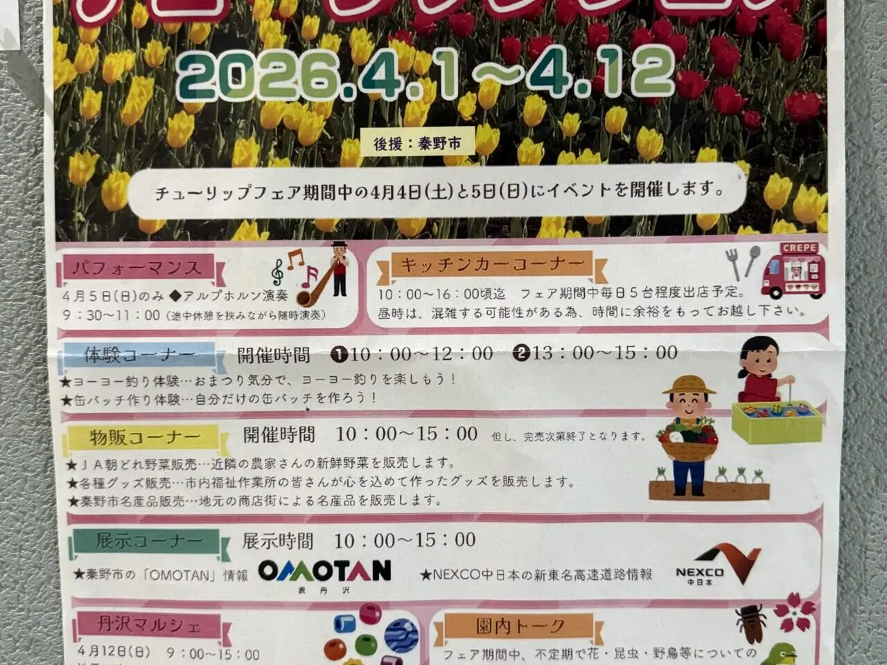 20260325チューリップ