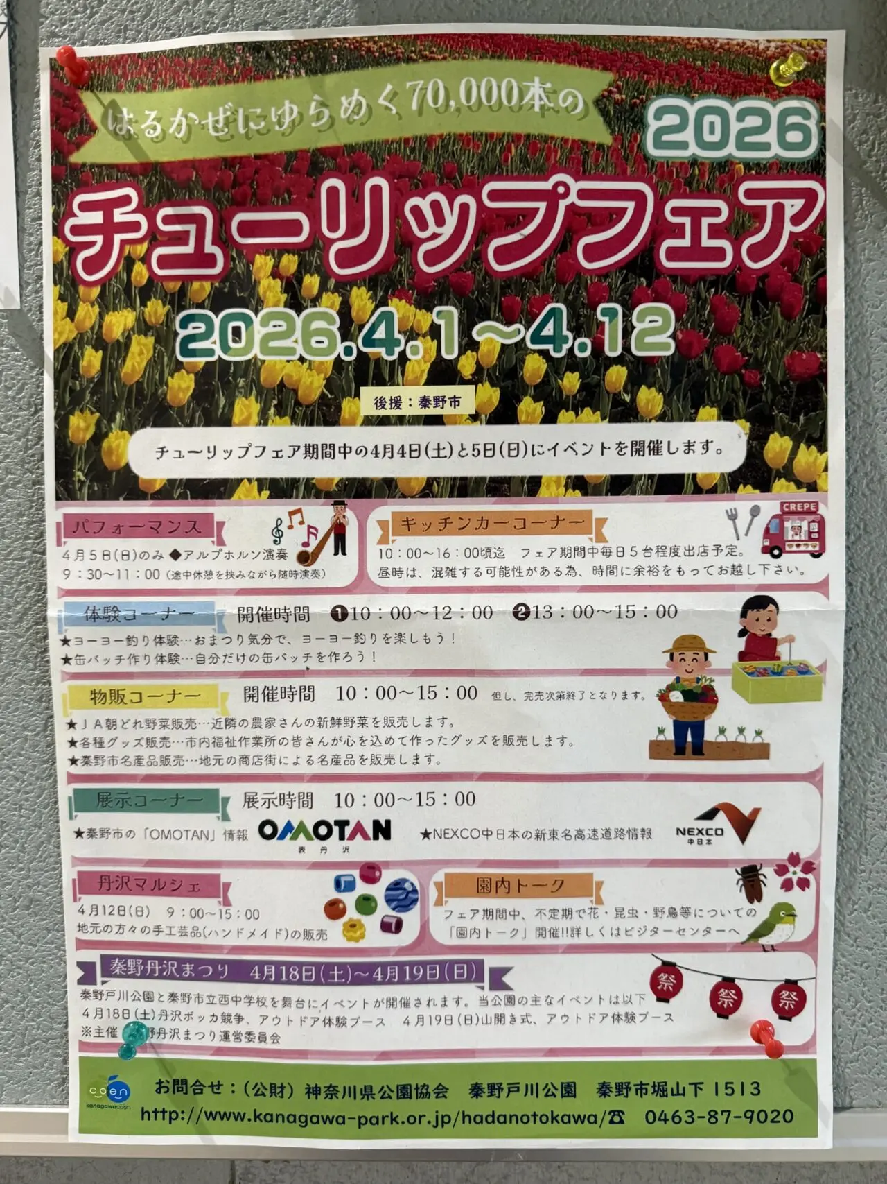 20260325チューリップ