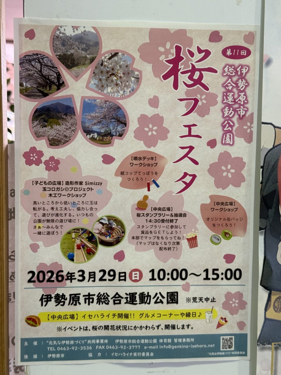 20260318桜フェスタ