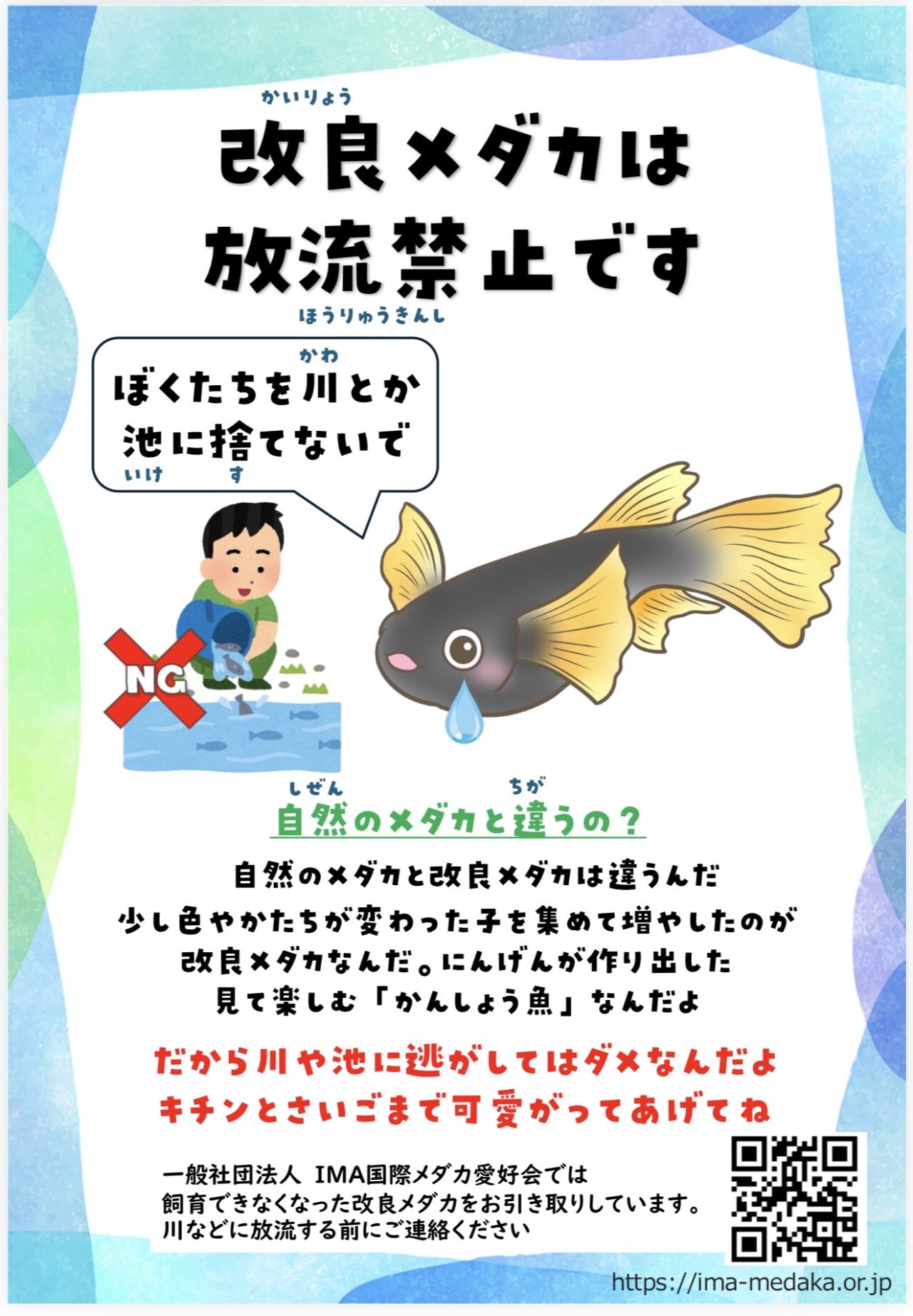 20260411メダカフェス