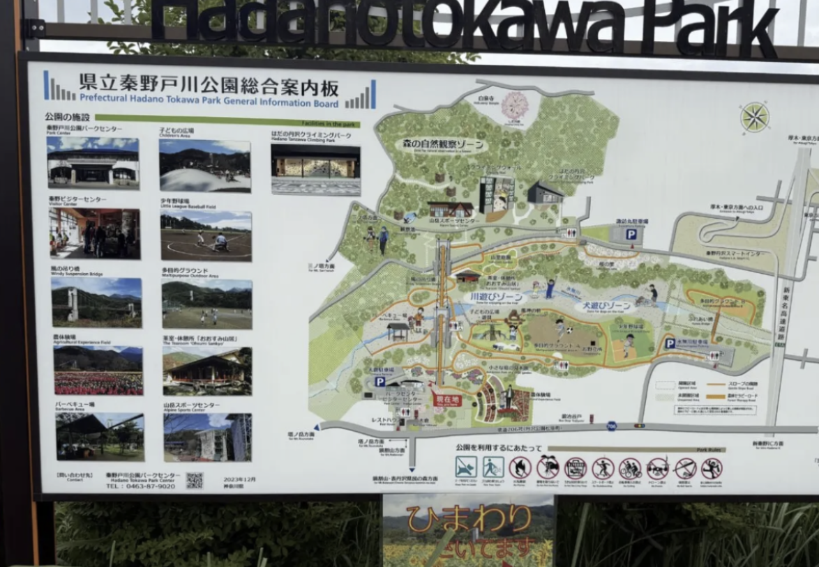 20260425_ウォーキング