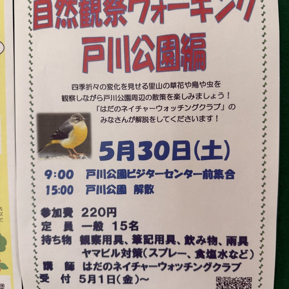 20260425_ウォーキング