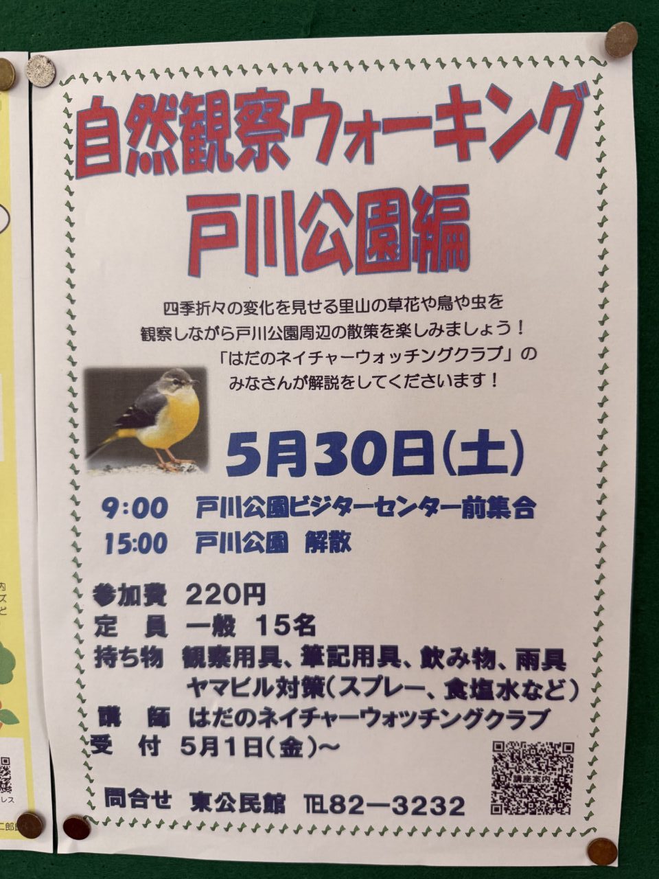 20260425_ウォーキング