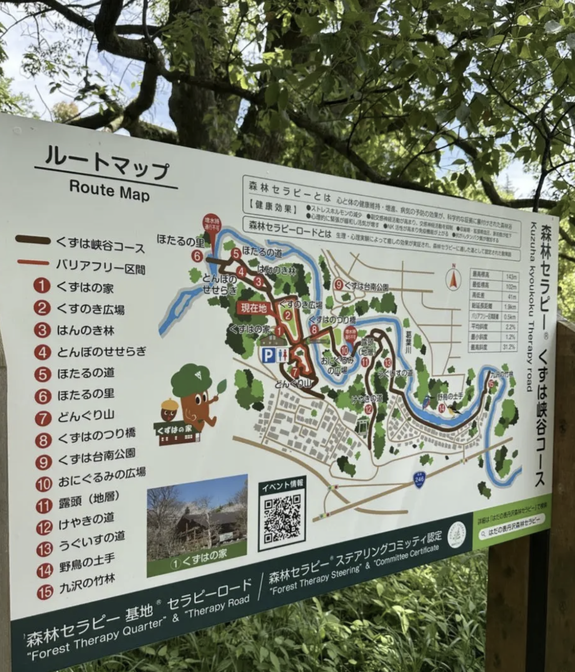 20260509_くずは
