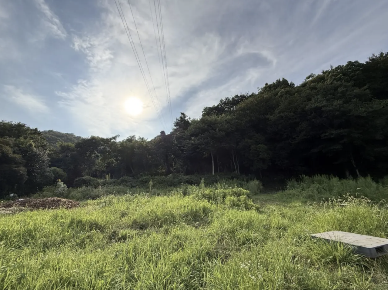 20260512_awai