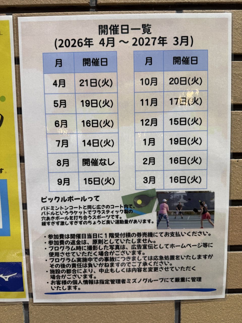 20260530_ピックルボール