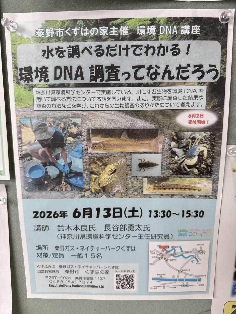 20260520_くずは