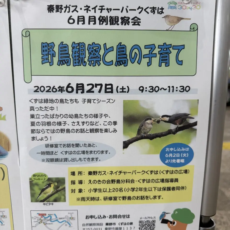 20260513_kuzuha