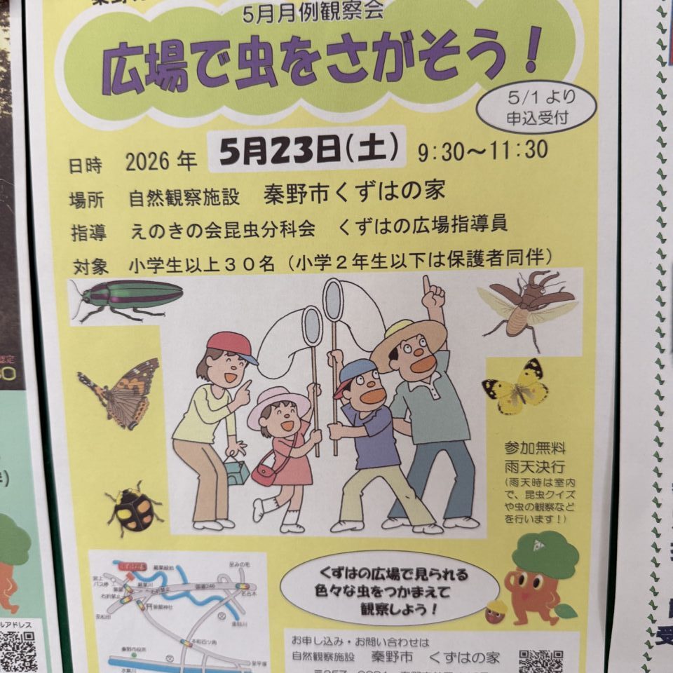 20260509_くずは