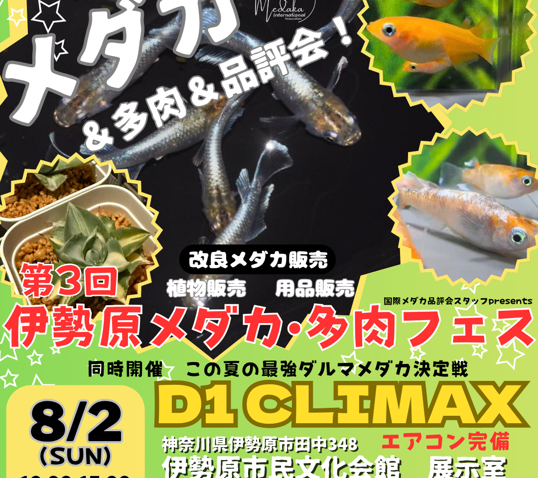 20260511_伊勢原メダカ