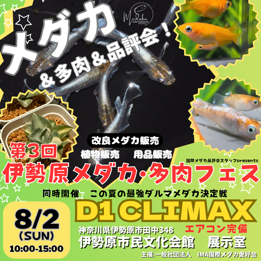 20260511_伊勢原メダカ