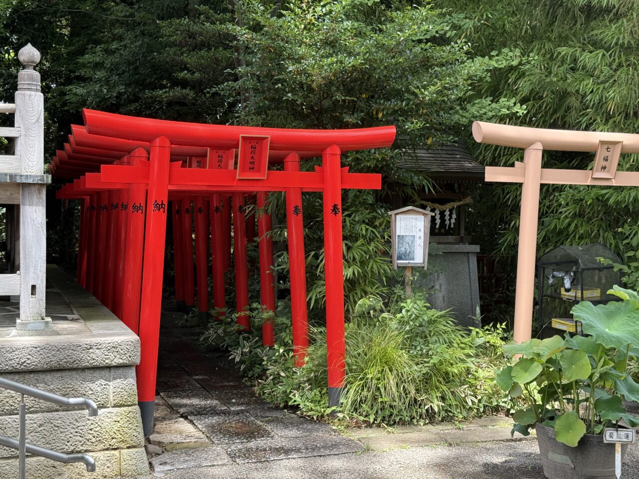 20260620_tanabata