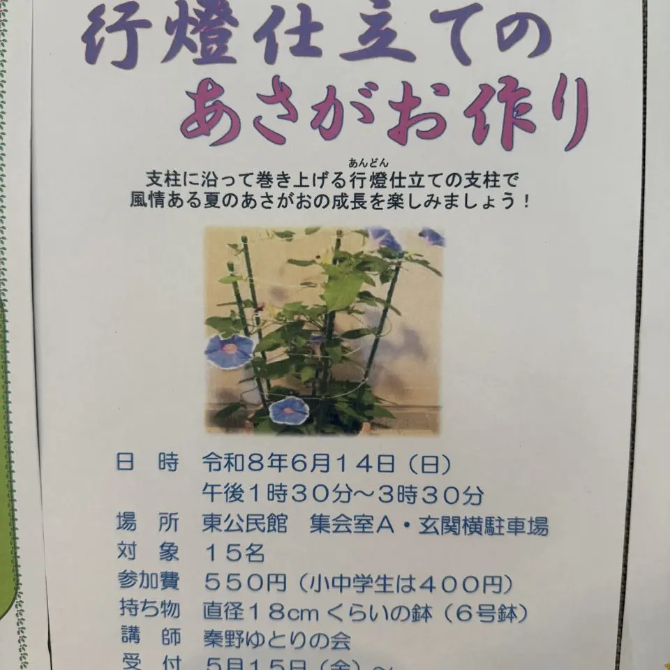 20260602_あさがお