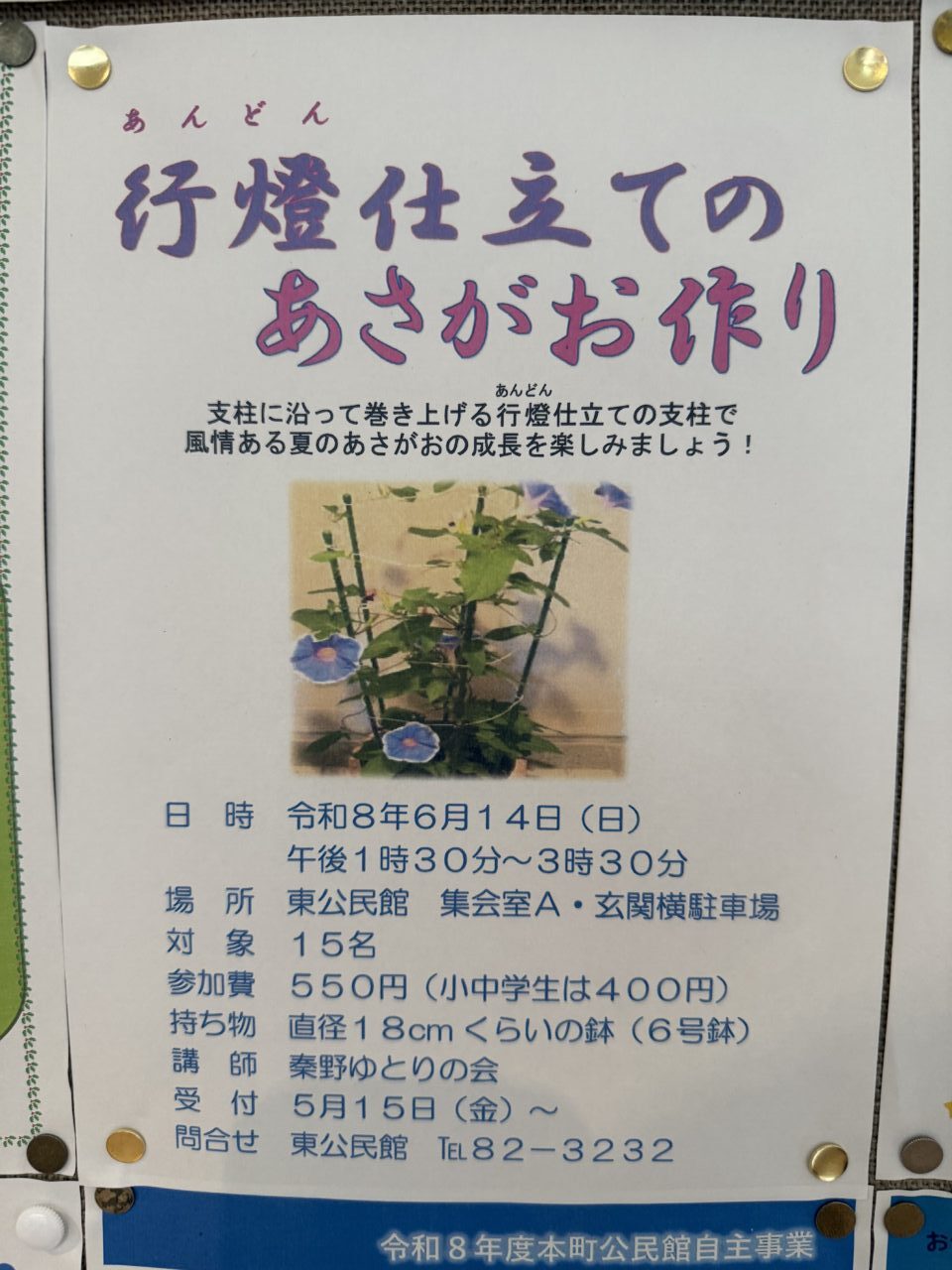 20260602_あさがお