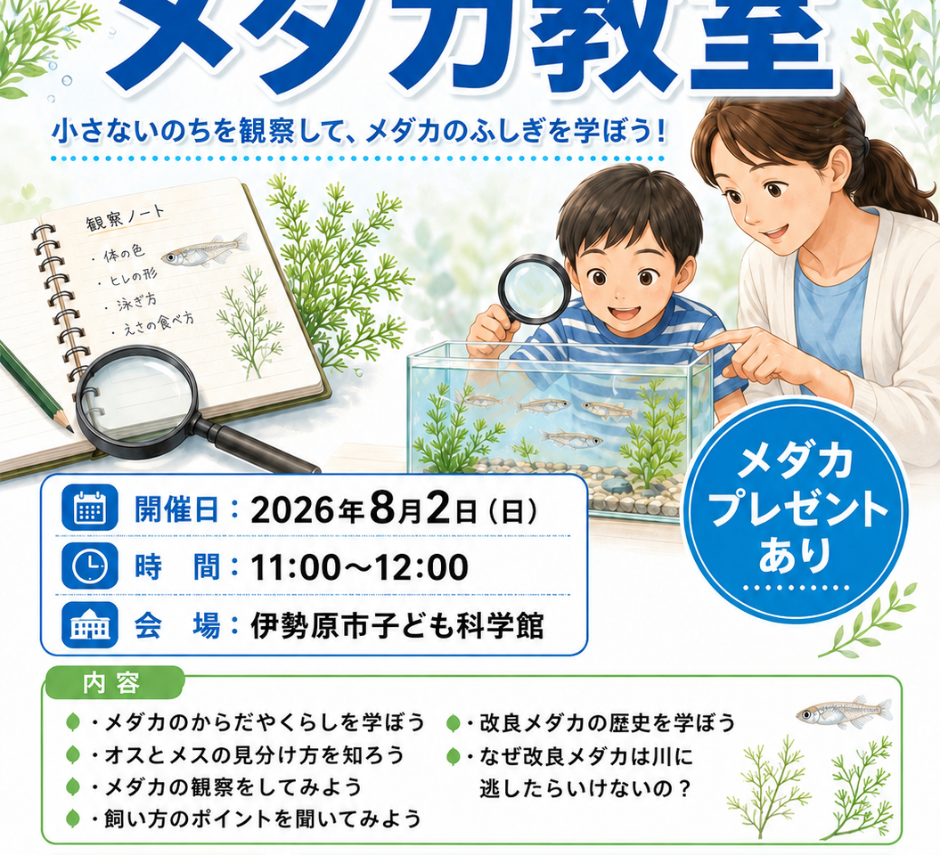 20260712_メダカ