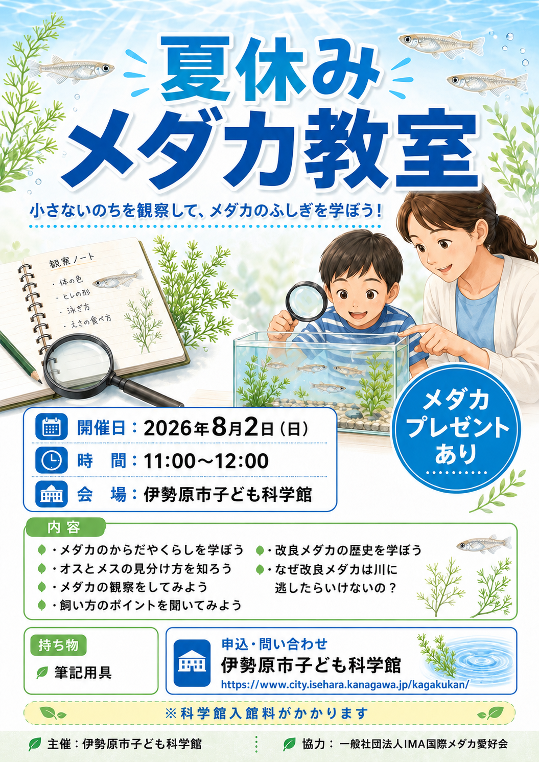 20260712_メダカ