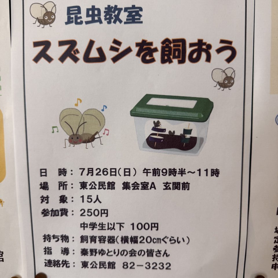 20260709_すずむし