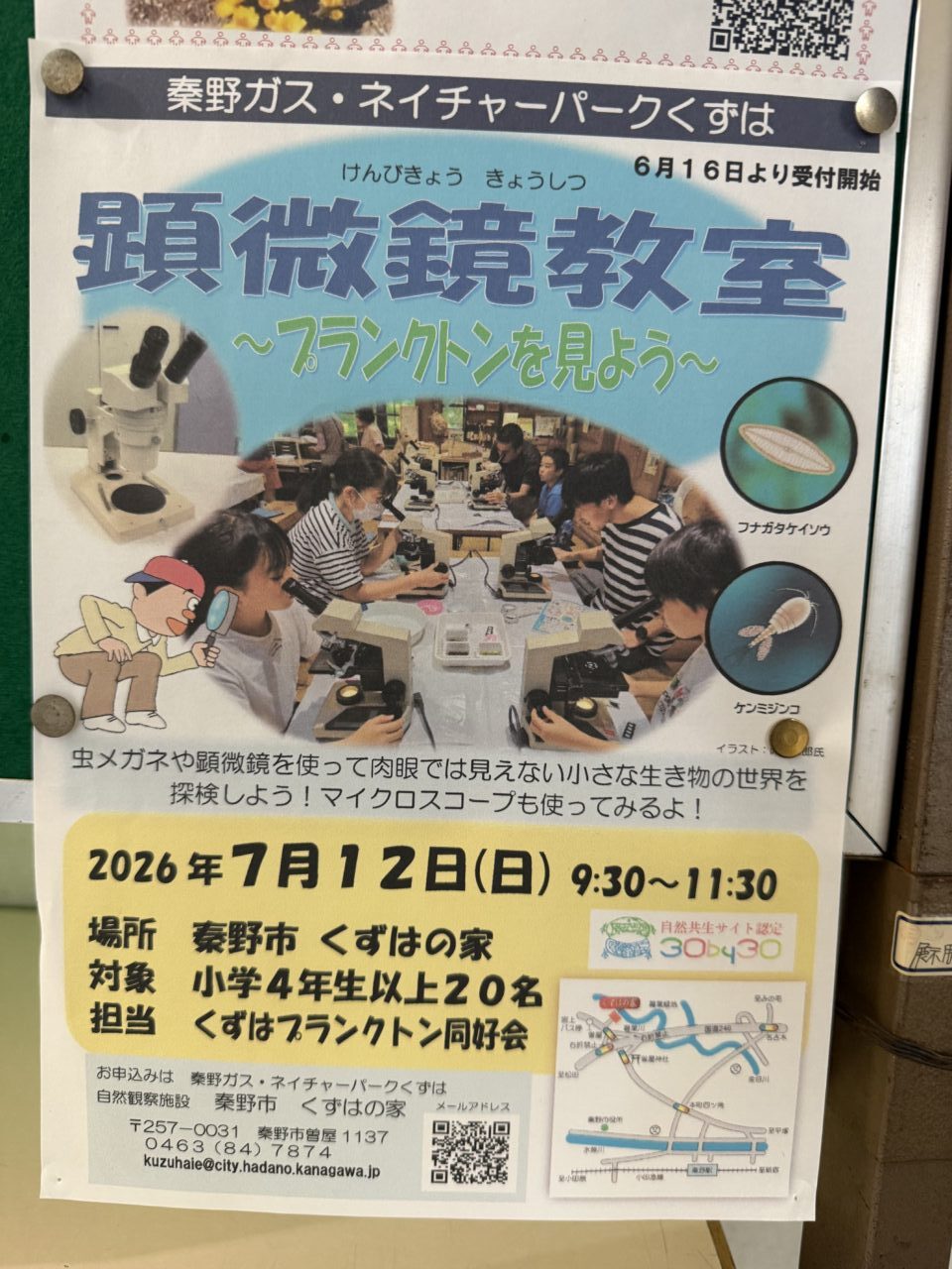 20260708_くずは
