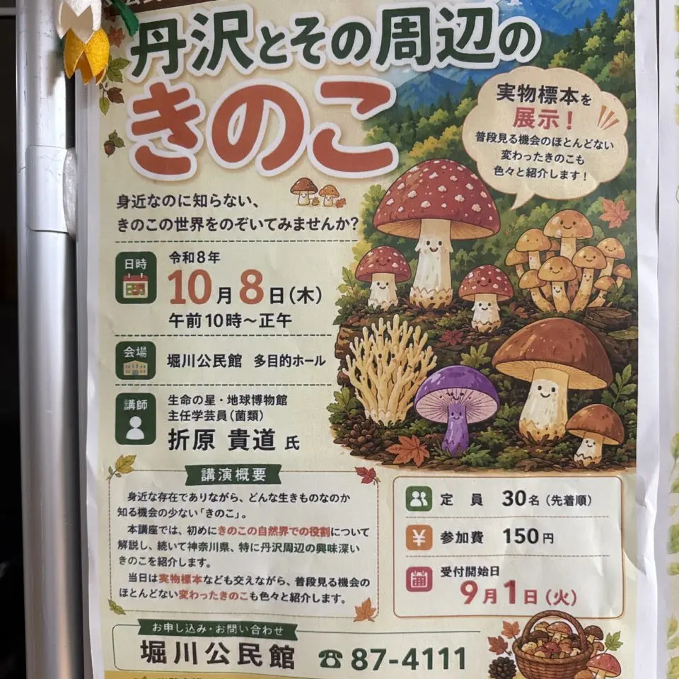 20260825_きのこ