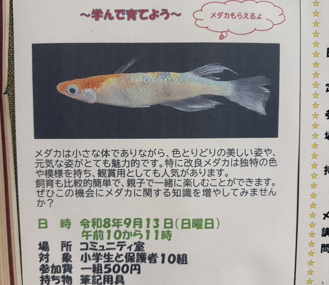 20260909_鶴巻