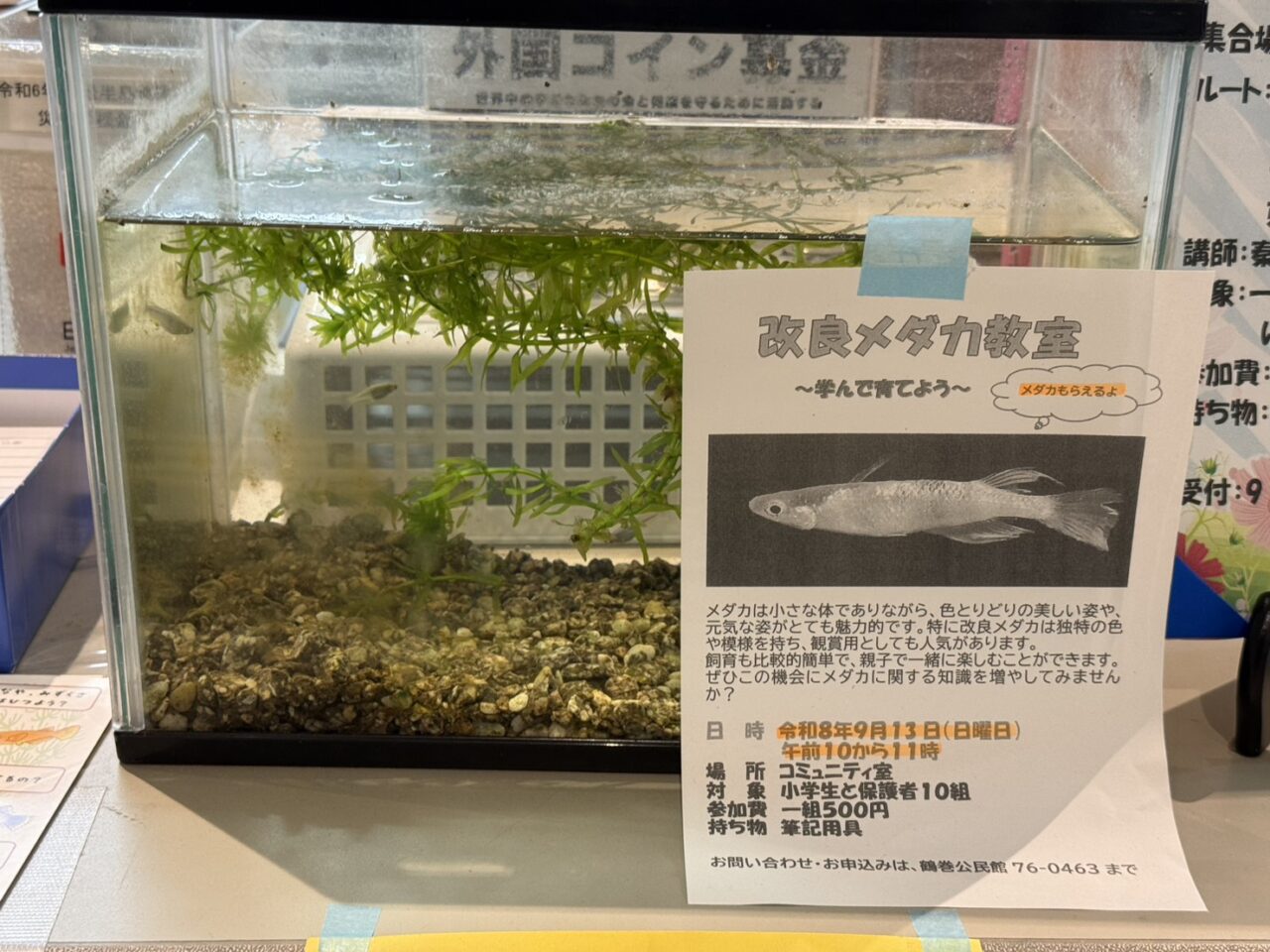 20260909_鶴巻