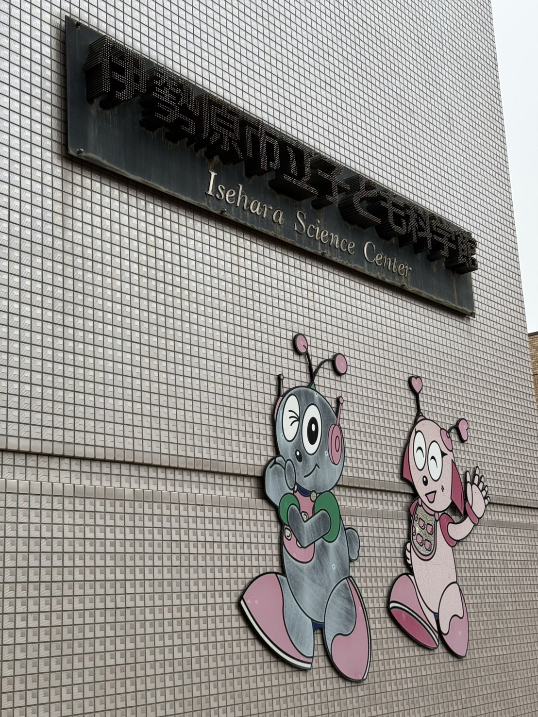 20260914_メダカ