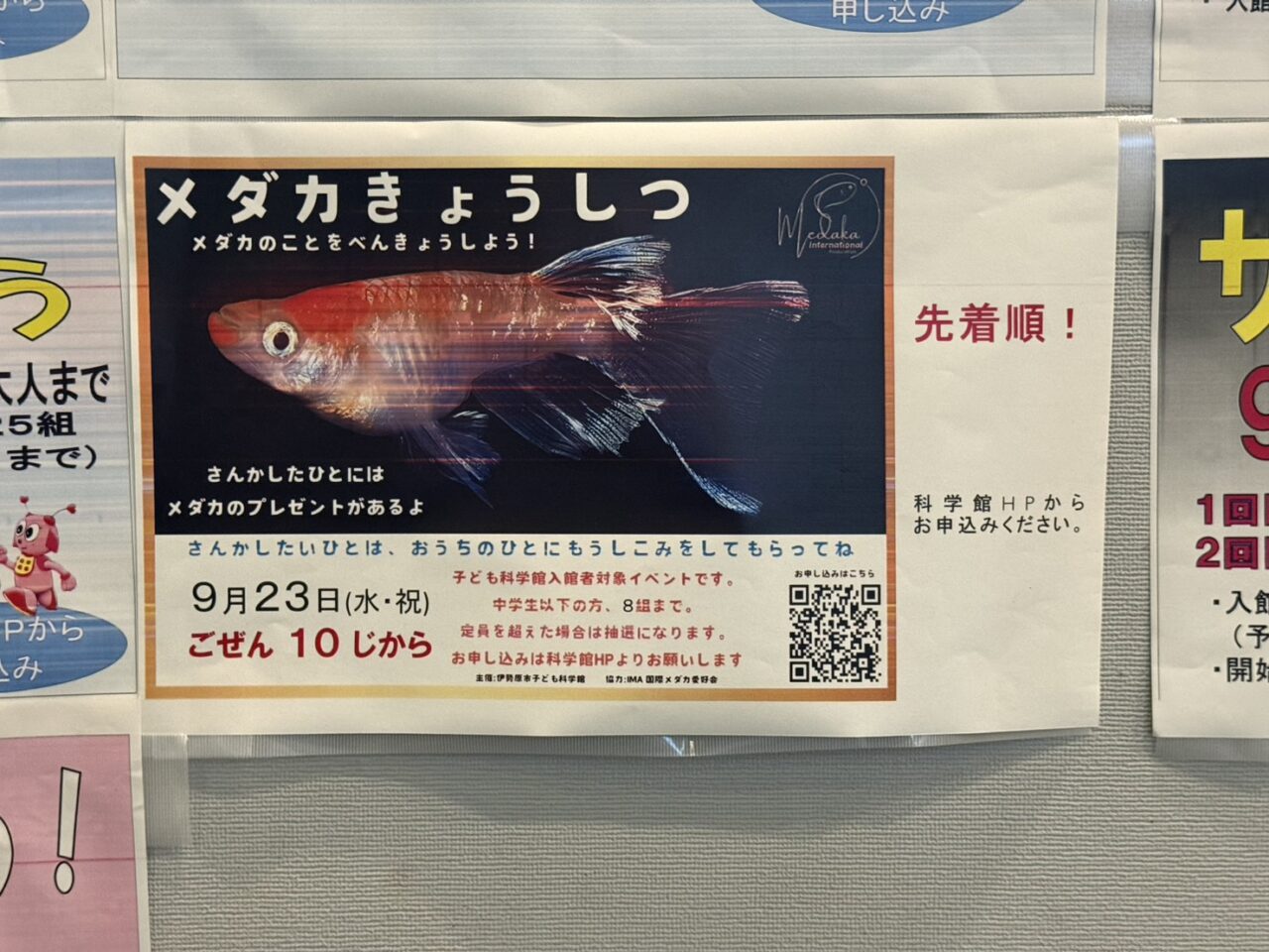 20260914_メダカ