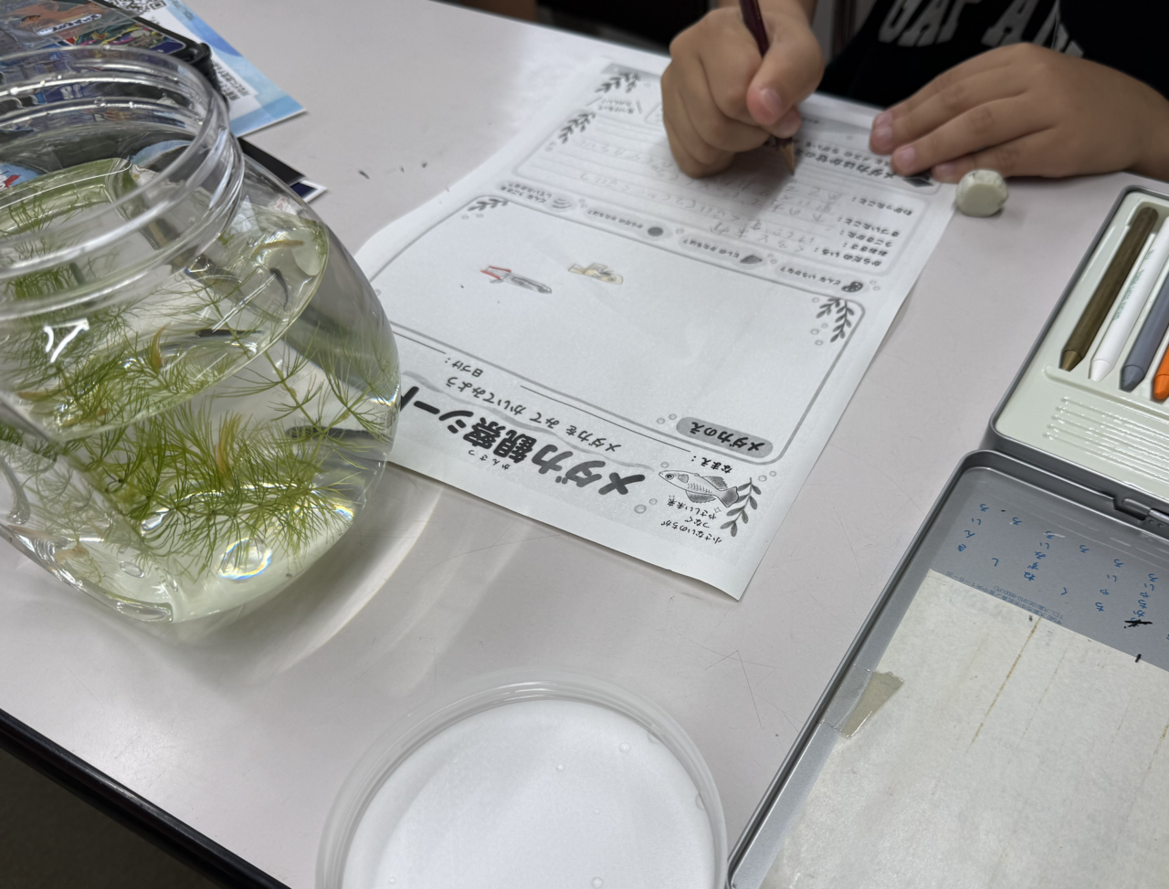 20260929_鶴巻メダカ教室