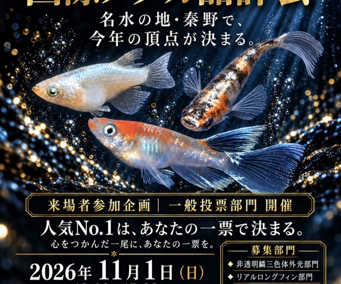 第11回国際メダカ品評会