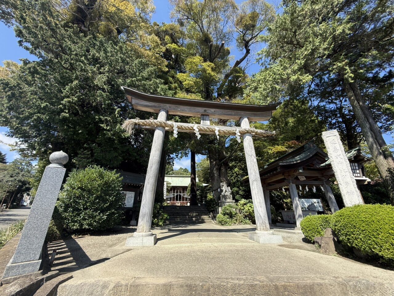 20261007_比々多神社蚤の市