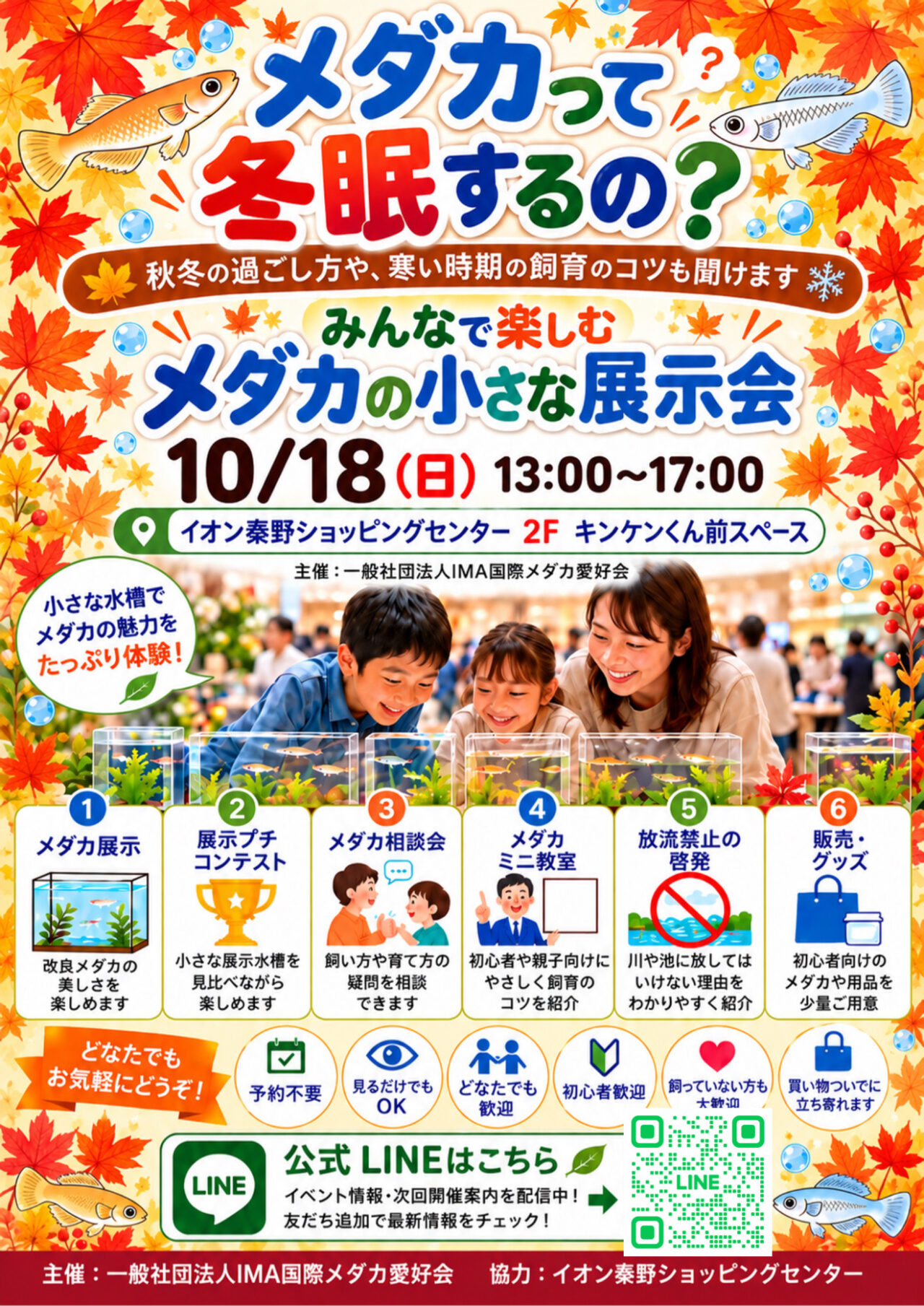 IMA国際メダカ愛好会_メダカの小さな展示会_イオン秦野