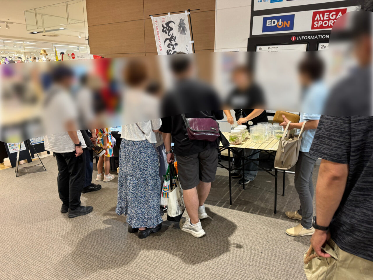 IMA国際メダカ愛好会_メダカの小さな展示会_イオン秦野