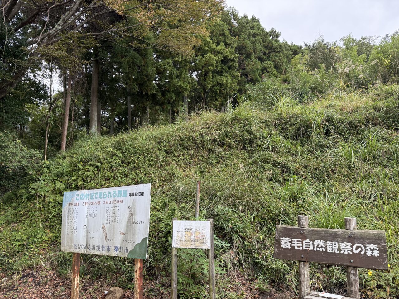 令和8年度 丹沢大山クリーンキャンペーン